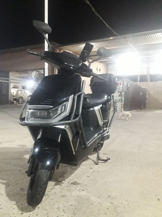 Skutir Tok bilan yuradi