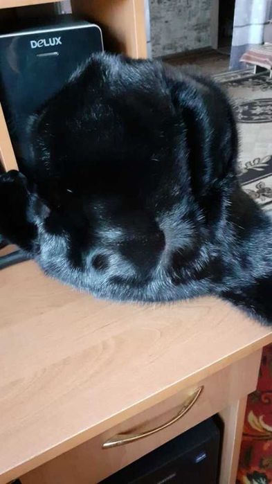 Шапка  ушанка норковая