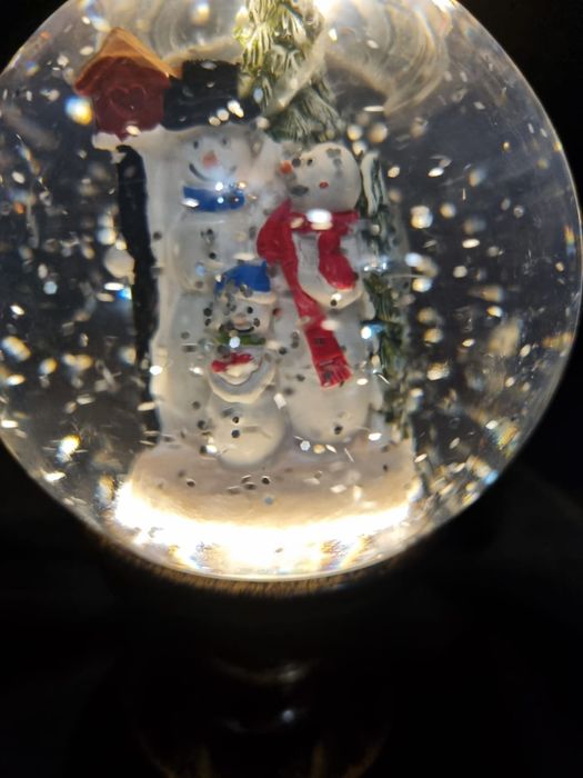 Glob cu zapada nou, in cutie.