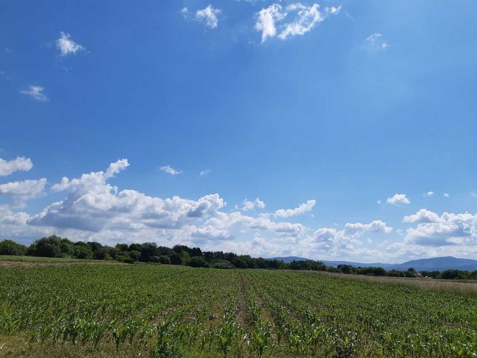 Teren agricol extravilan Podu Oltului la limita UAT Harman si UAT Prejmer (Lunca Calnicului) 2 euro mp