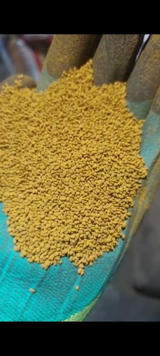 Семена люцерны жоңышқа тұқымы беде!