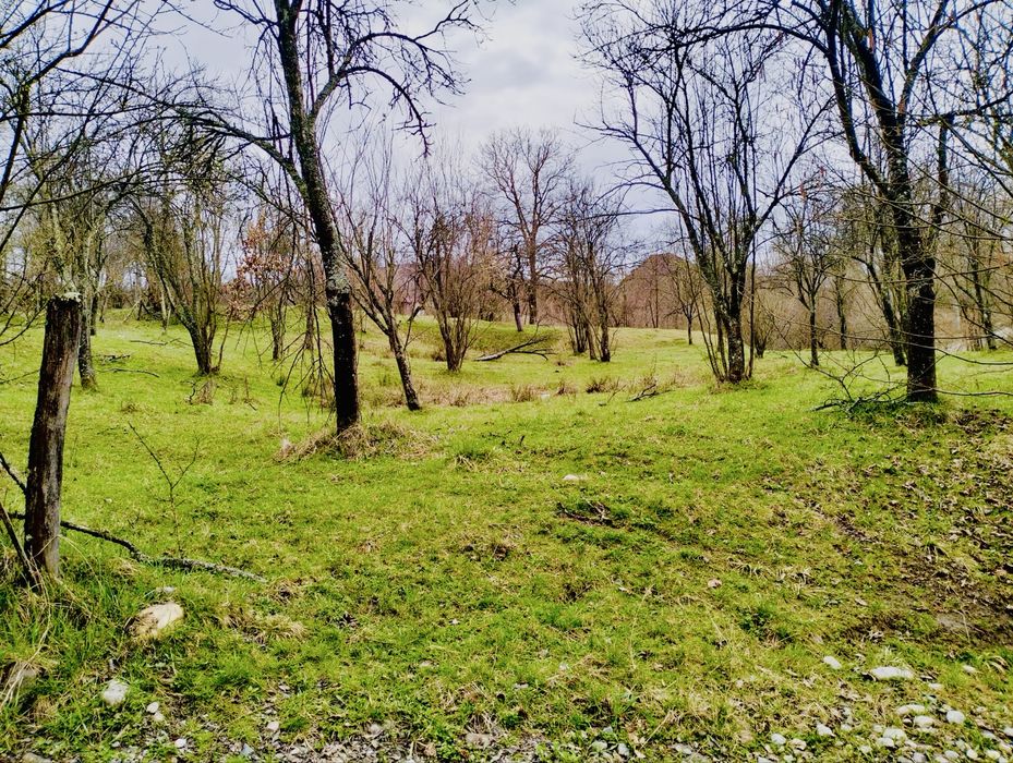 Ocazie! Vand teren Curtea de Arges pentru casa vacanta/ pensiune