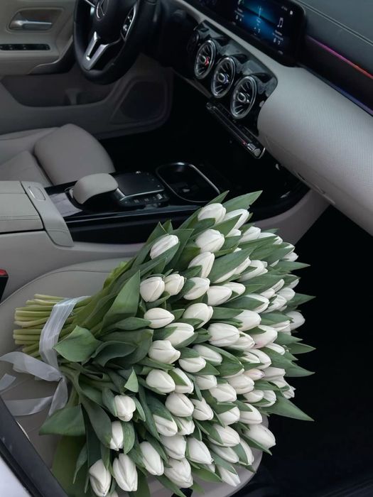 Тюльпаны опт/ розница