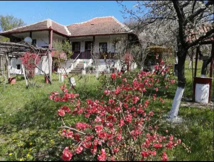 Vand casa si teren