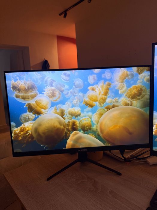 Монитор 24,5" Neo SG245FIW18NB 1920x1080 16:9 IPS 180 Гц (2HDMI+DP)
