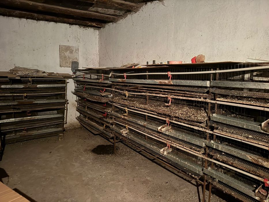 Сетки для птиц бодене