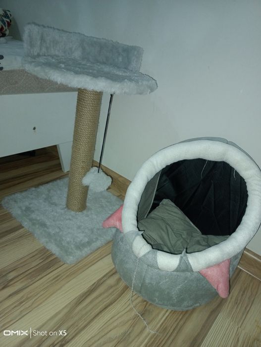 Продается домик для котят новый