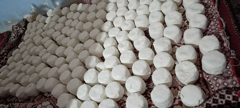 Qamashi Tog' Quritlari