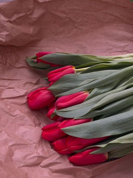 Тюльпаны на 8 марта | Предзаказ