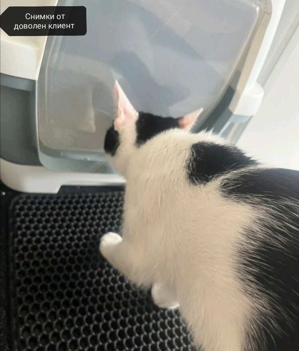 Двуслойна постелка за котешка тоалетна килимче