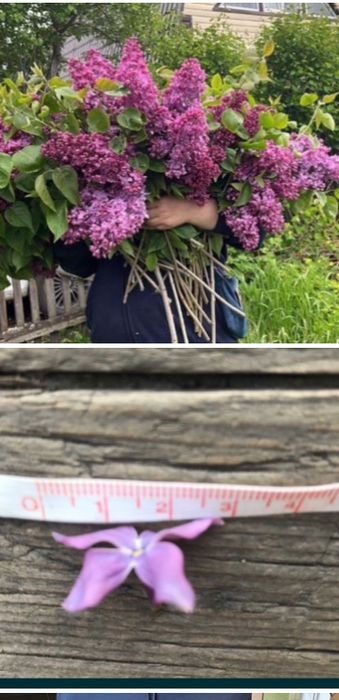 Дача Дачный участок Гудок