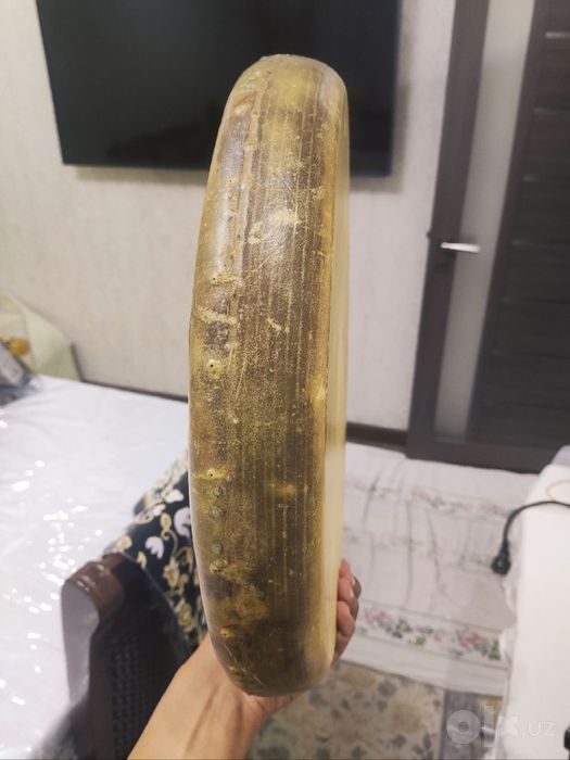Акаця Doira sotiladi 200 $