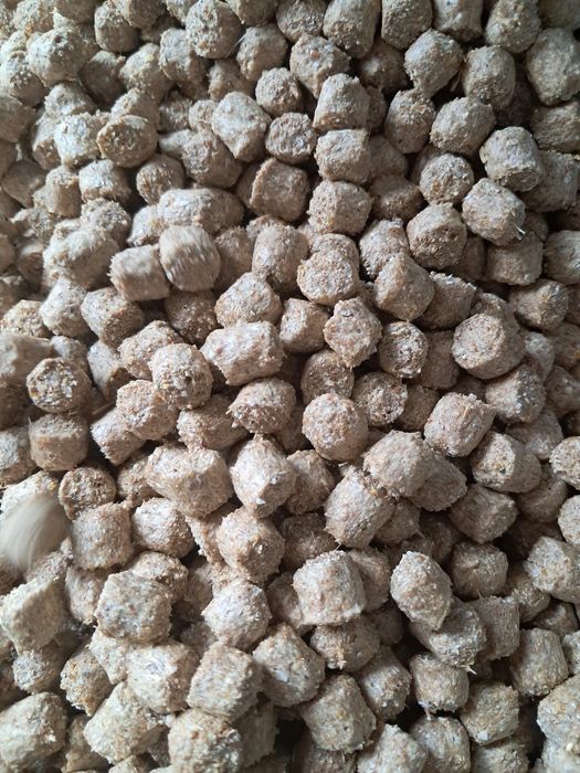 Экстродрда пишиб чикган ем