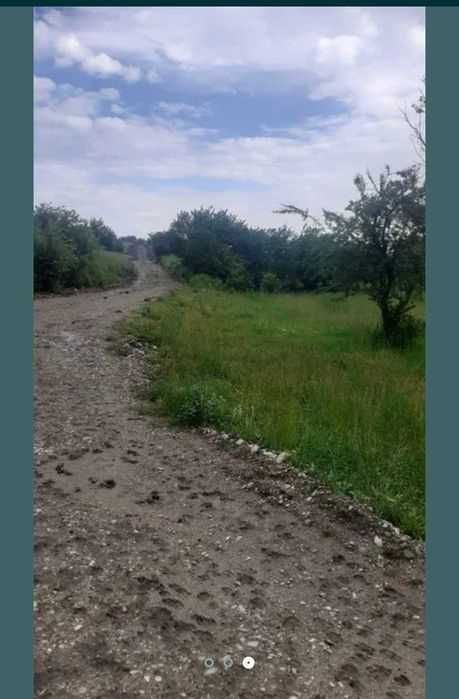 15.000mp extravilan
