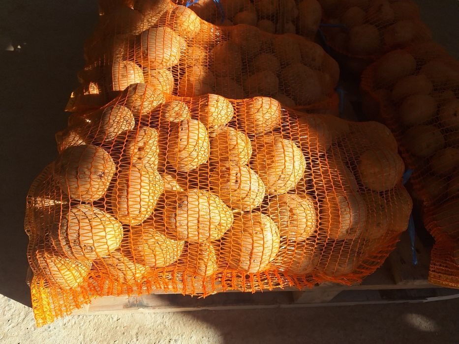 Cartofi de Vânzare - Albi și Roșii - Direct de la Producător