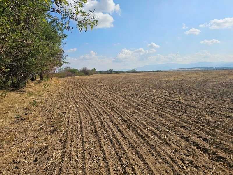Продава се Земеделски имот в с. Боянци, Област Пловдив -  кв.м за 28 €/дка - Снимка #5