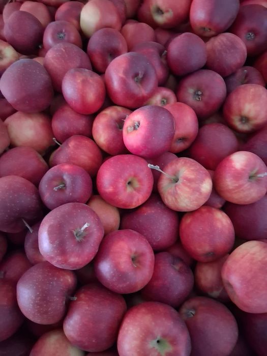 Mere de vanzare calitate extra lux.