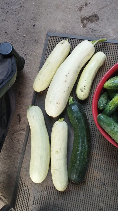 Продажа домашних овощей