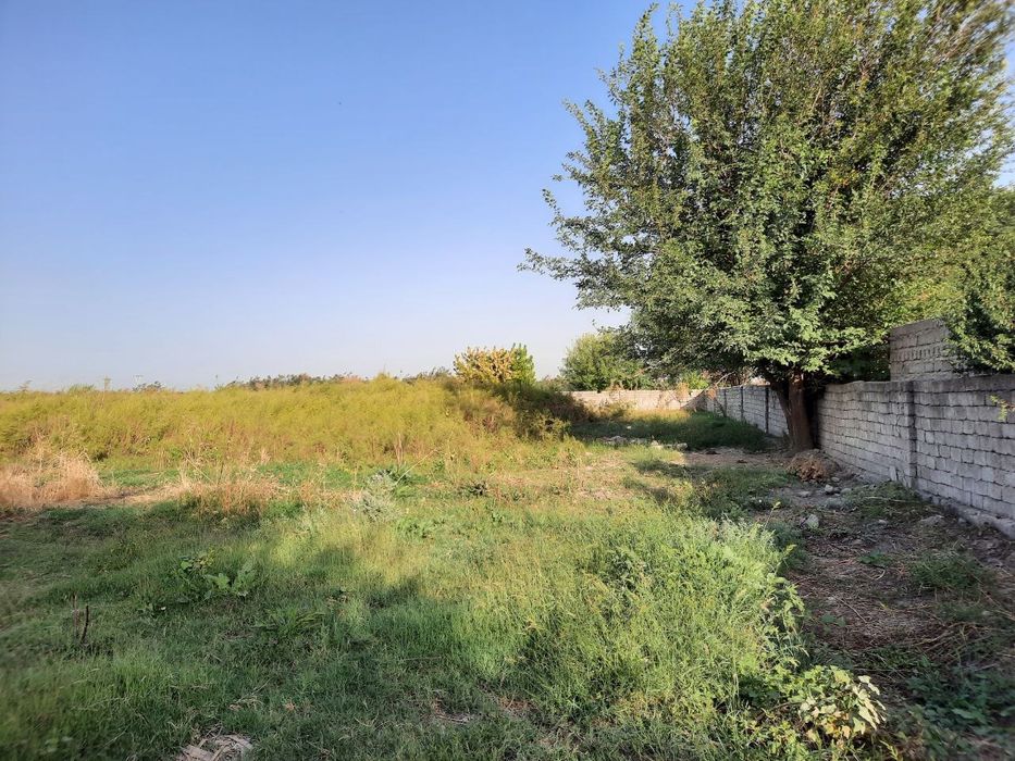 Yuqori chirchiq tumanida 200 sotok yer sotiladi