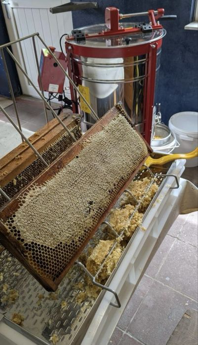 Miere naturală 100% BIO – direct de la producător, fară ados