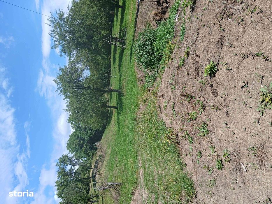 Teren intravilan de vânzare, 6719mp, rural