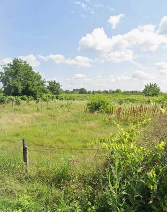 Teren intravilan construibil 1700 mp Ograzile ( Merei)