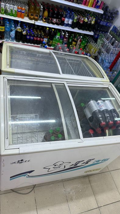 Ringer морозильник