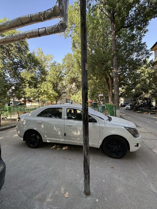 Cobalt A/T Midnight 2025 Tozza