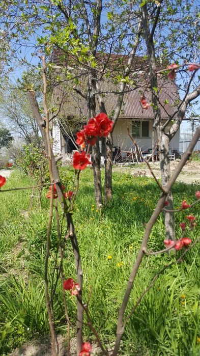 Участок с домом 22 сотки