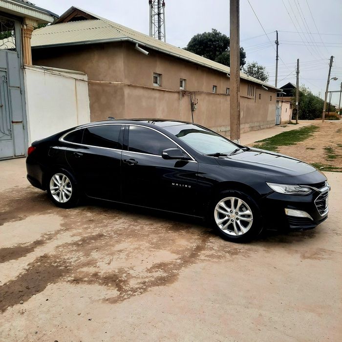 Malibu 24 primer qlingan