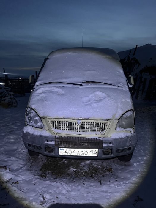 Газель инкосатор