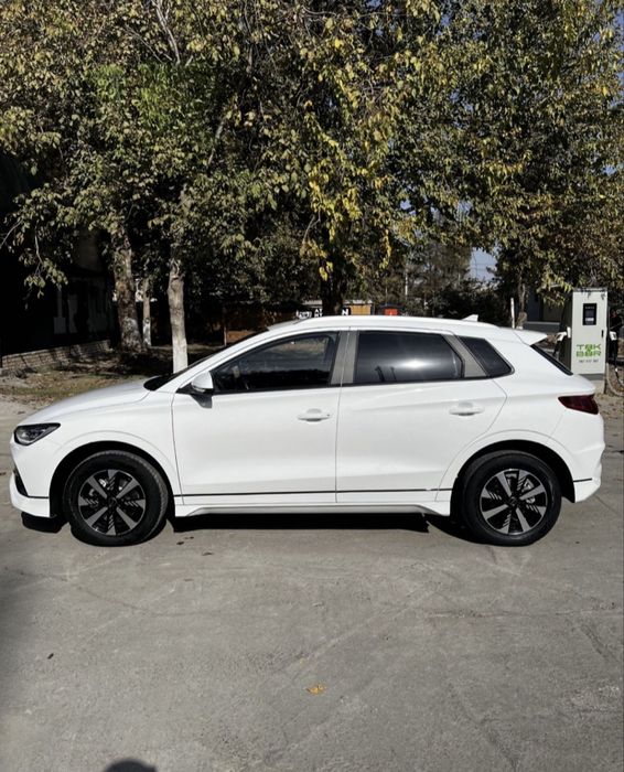 BYD, e2 Arendaga vikupga beriladi