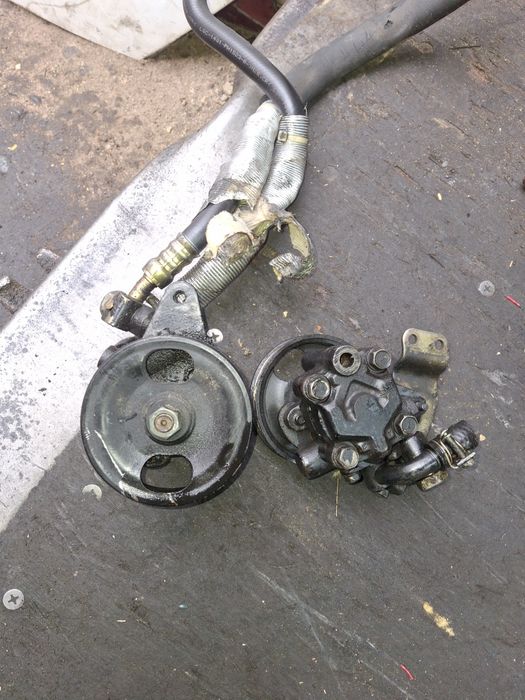 Гур цефира максима