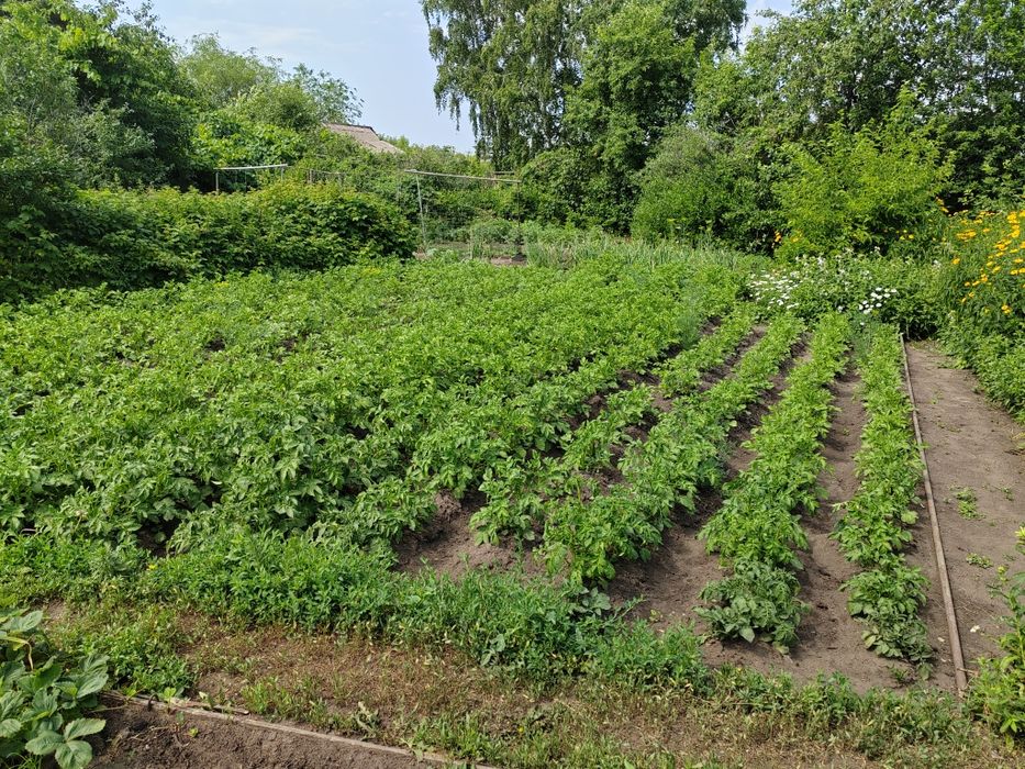 Продам дачу 17 маршрут 1 общество