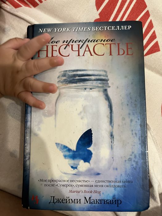 Мое прекрасное несчастье книга