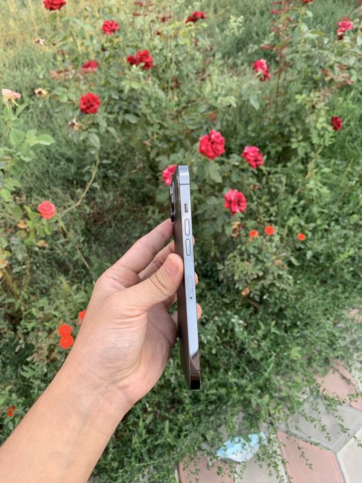 iPhone 12 Pro Max.