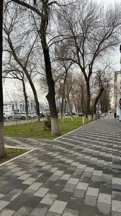 Срочно Продажа Нежилое Помещение Северный Вокзал