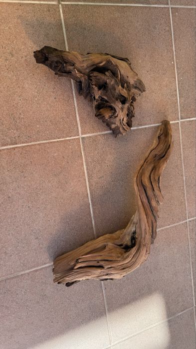 Мангровые коряги