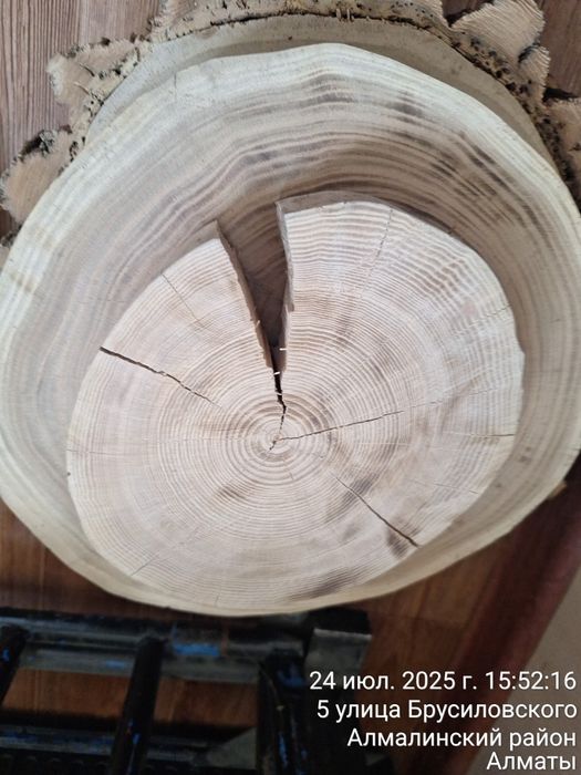 Продам слебы и спилы