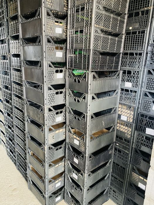 Корзины для овощей и фруктов