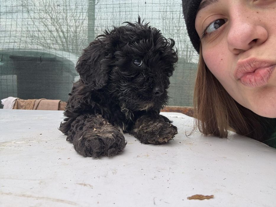 Продавам бебе лагото