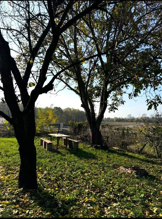 Teren intravilan Episcopia