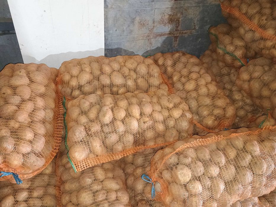 De vânzare cartofi consum Carera sí Bellaroza