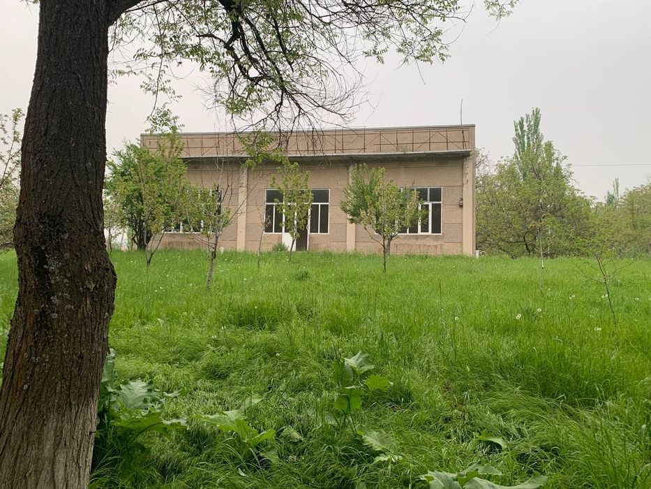 Kumushkonda joylashgan dalahovli sotiladi