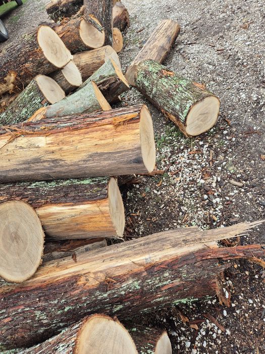 Lemne de foc doar calitate