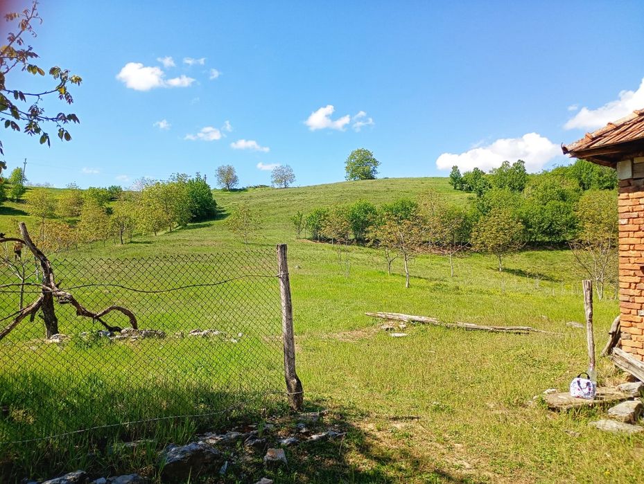 Casă la țară Dumbrăvița de Codru