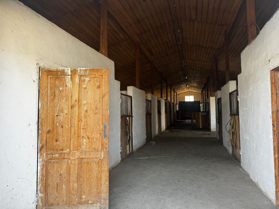 Откормочная база, конюшня