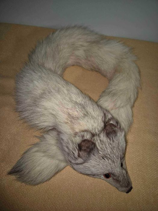 Кожена шапка и кожена яка - лисица