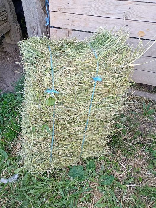 Baloti de luțernă