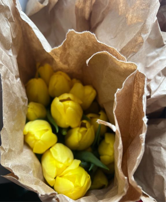 Тюльпаны опт ( крупные ) поставка 1/2 марта предзаказ